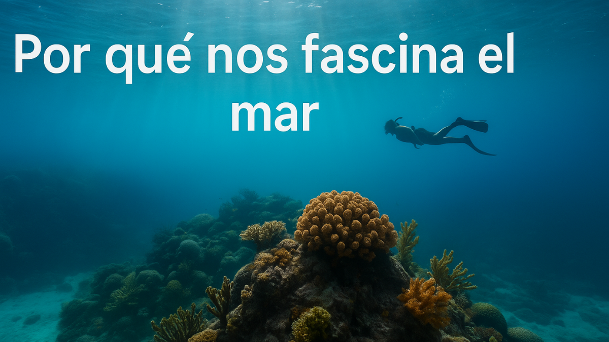 Por qué nos gusta el mar. belleza, calma y algo que no podemos explicar.